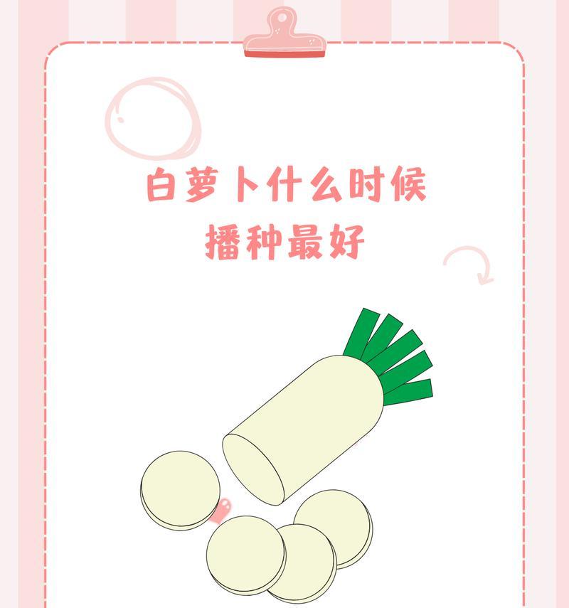 南方种白萝卜什么时候播种？白萝卜的最佳播种时间是什么时候？
