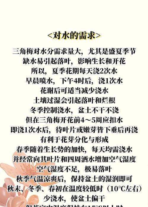 三角梅缓苗后怎么处理？缓苗期的管理要点是什么？