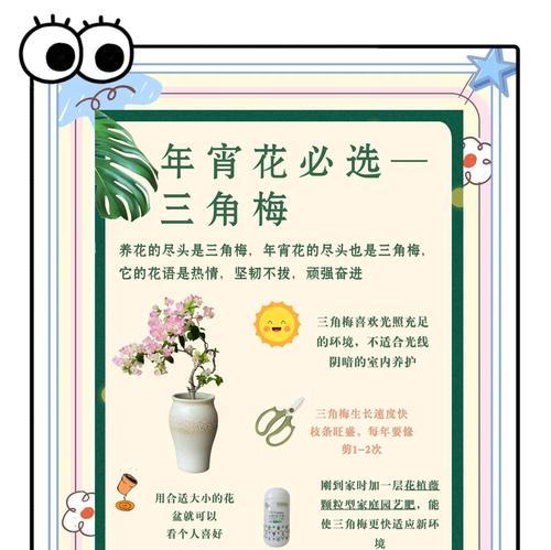 三角梅缓苗后怎么处理？缓苗期的管理要点是什么？