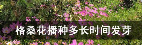 花卉繁殖周期是多久？如何提高繁殖效率？