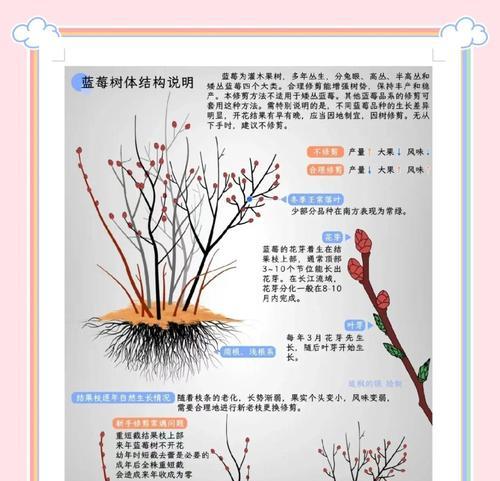 树莓栽培技术的文献资料从哪里获取？