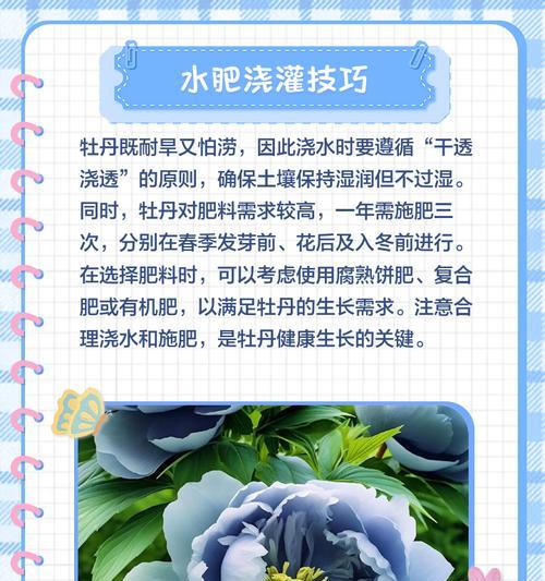 春季牡丹浇水的正确方法是什么？
