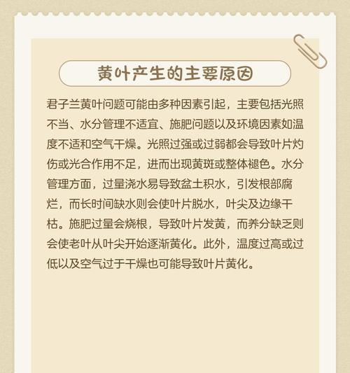 君子兰怎么剪叶不黄呢？剪叶的最佳时间和方法是什么？
