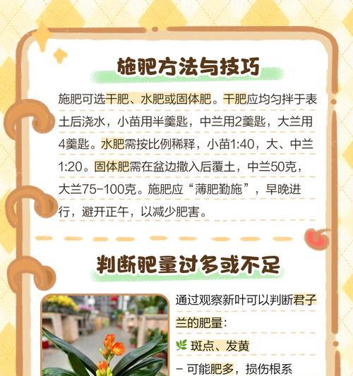 君子兰分株成两棵的原因及处理方法？