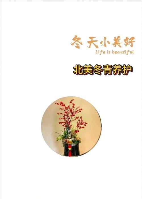 冬青浇水的正确方法和技巧？