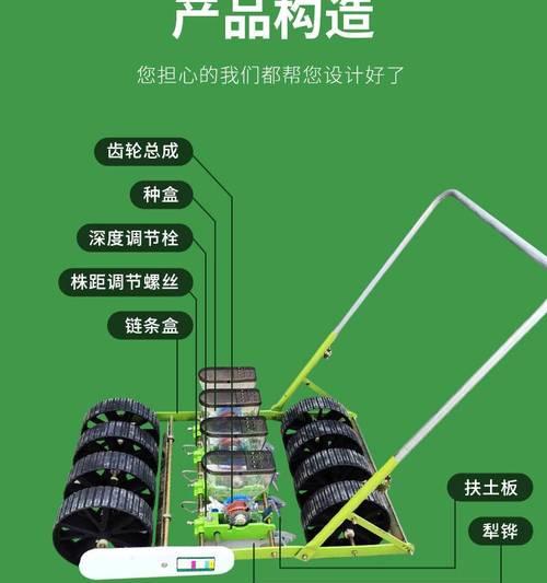 大豆白籽播种的含义及注意事项？