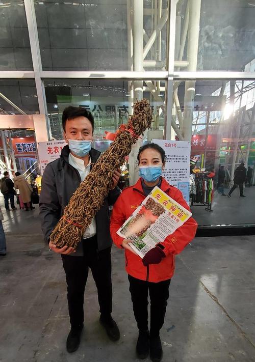 大豆白籽播种的含义及注意事项？