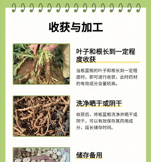 栽培技术中有哪些神奇的方法？