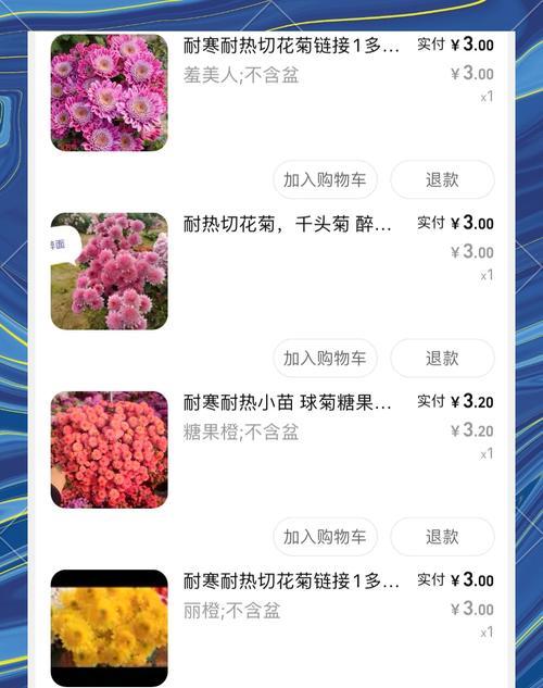 球菊播种的最佳方法是什么？