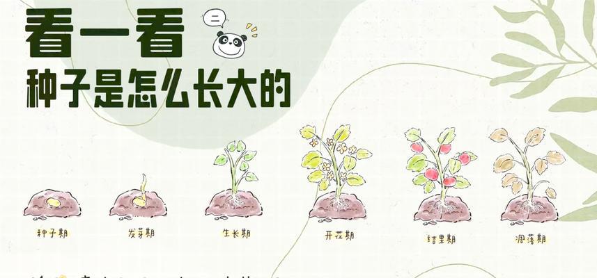 播种种子不发芽的原因是什么？