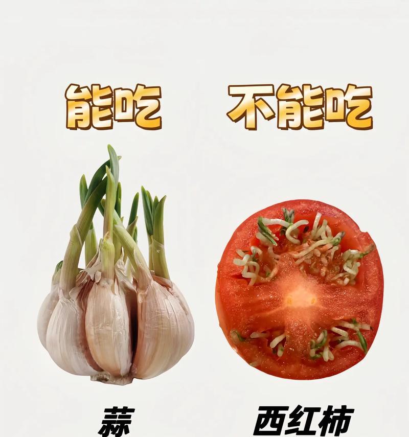 播种种子不发芽的原因是什么？