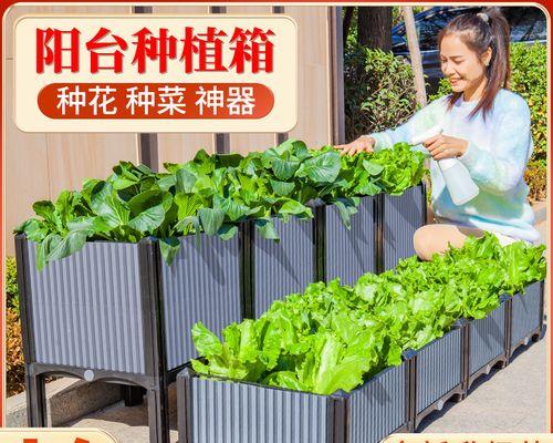 君子兰根系饱满如何维持？根系问题的解决方法有哪些？