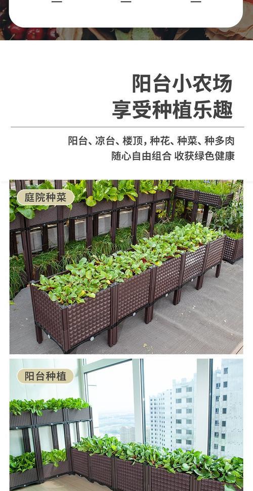 蓝精灵花叶子黄化是何原因？如何进行有效处理？