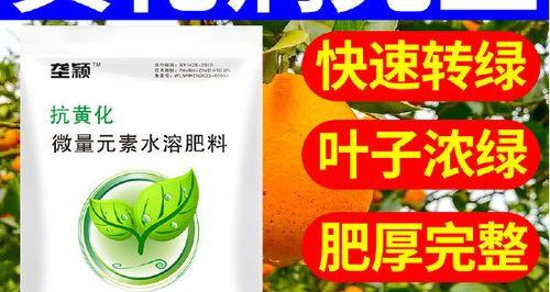槟榔叶子黄斑问题如何解决？