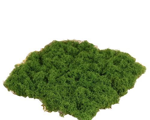 盆景假苔藓草皮处理方法是什么？