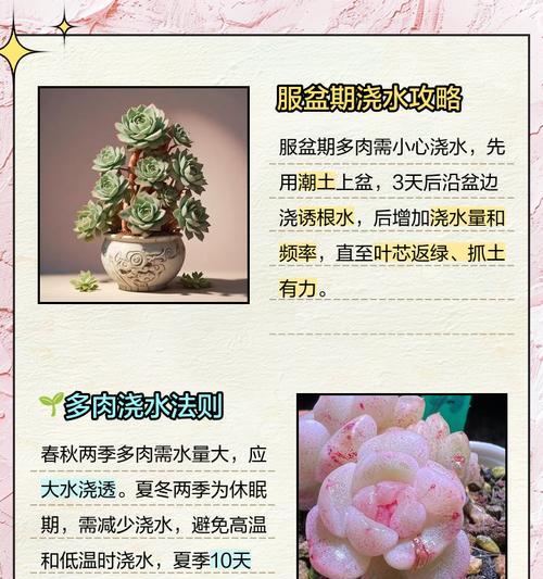 毛细根植物应该如何正确浇水？