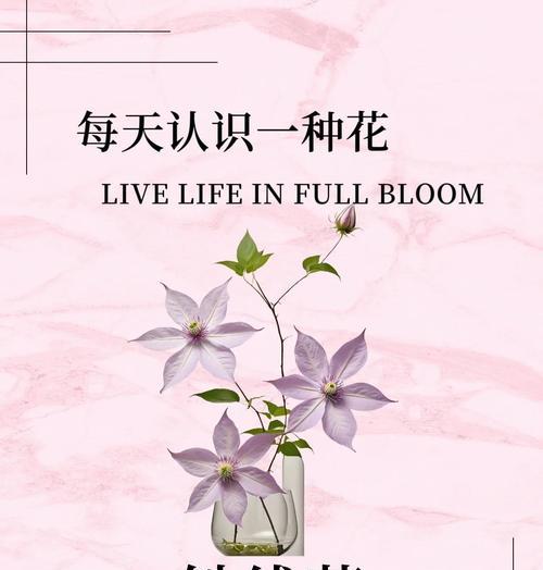 铁线莲修剪的正确方法是什么？