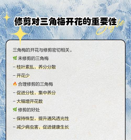 三角梅修剪技巧是什么？如何确保剪枝成功？