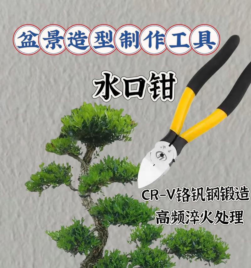 盆景工具中的手锯如何正确使用？