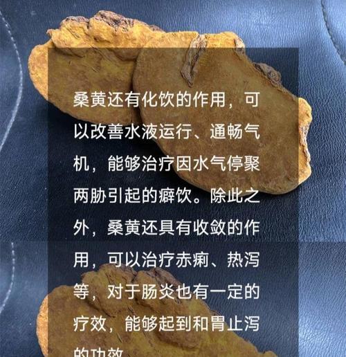 桑树叶子春天发黄如何处理？有哪些有效措施？