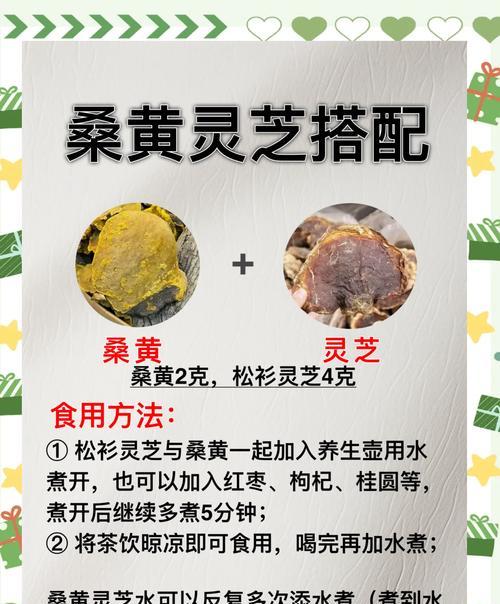 桑树叶子春天发黄如何处理？有哪些有效措施？