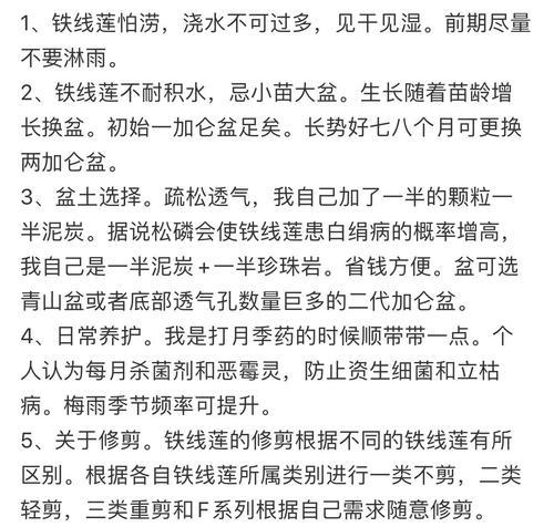 铁线莲冬季耐冻吗？如何安全过冬？
