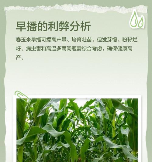 玉米播种的最佳时间是什么时候？