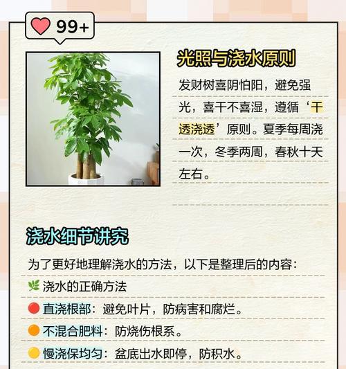 杨树浇水的最佳方法是什么？