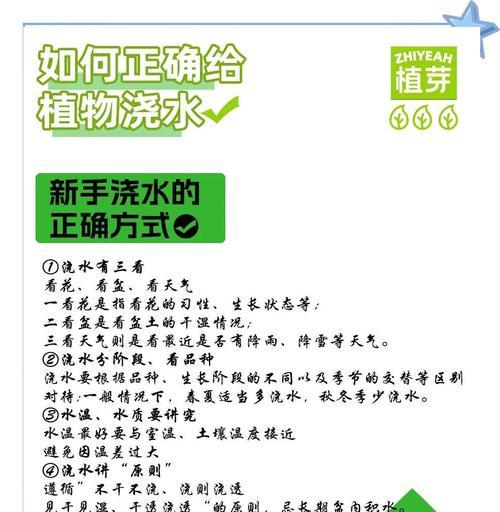 杨树浇水的最佳方法是什么？
