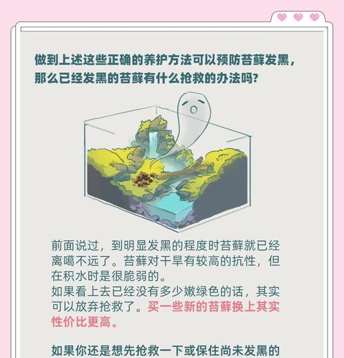 苔藓浇水过多叶子发黄怎么办？补救措施有哪些？