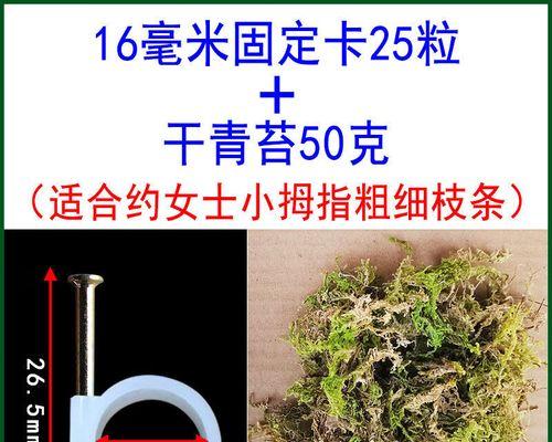 月季固定枝条架怎么用？有哪些正确的使用方法？