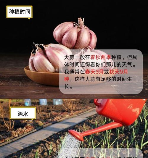 生蒜苗肥料自制方法是什么？