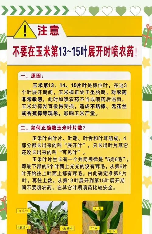 播种玉米要灭茬吗为什么？灭茬的好处和必要性是什么？