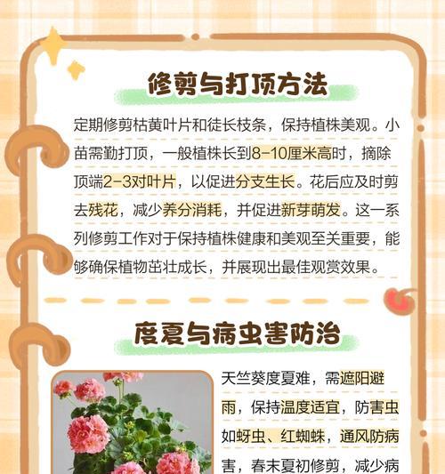 如何辨别天竺葵种子的好坏？
