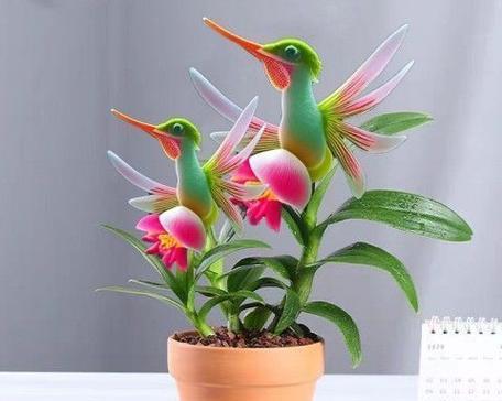 阳台种植哪些花卉不怕寒冷？推荐的耐寒植物有哪些？