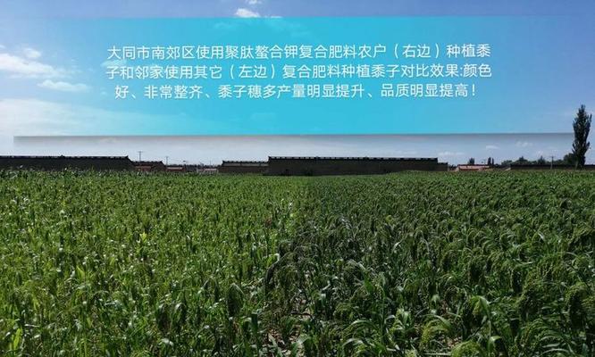 谷子周边肥料自制方法是什么？