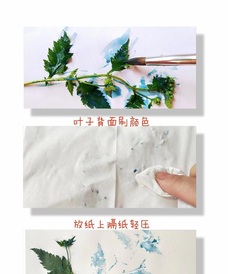 南京漆的叶子怎么发黄了？如何进行处理？