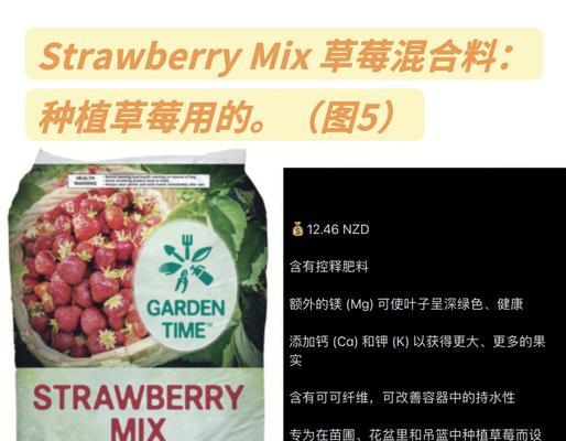 观赏植物栽培种子有哪些种类？如何选择？