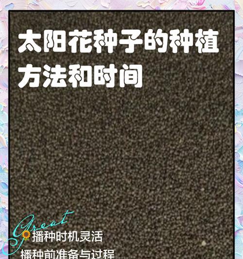 向日葵播种时间最晚是什么时候？
