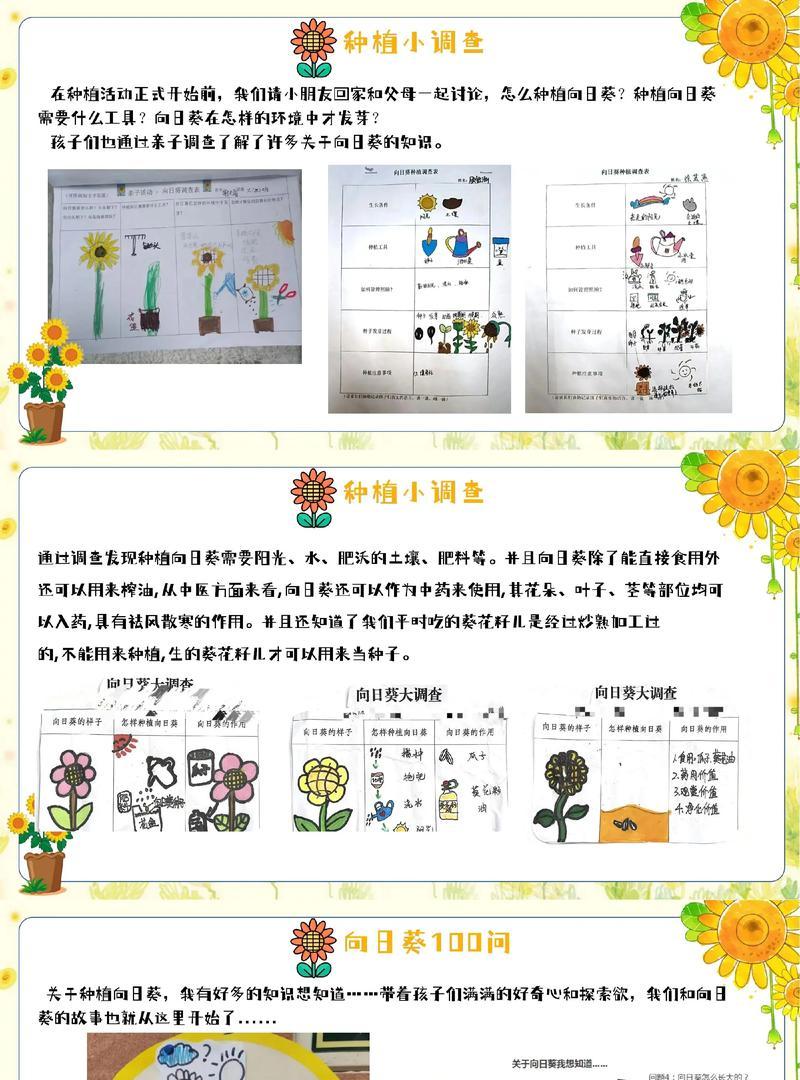 向日葵播种时间最晚是什么时候？