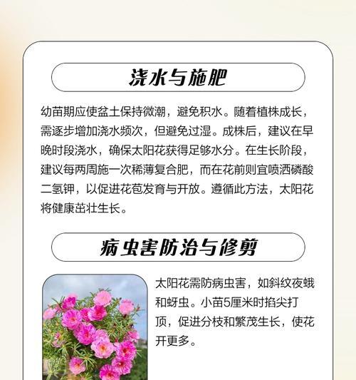 向日葵播种时间最晚是什么时候？