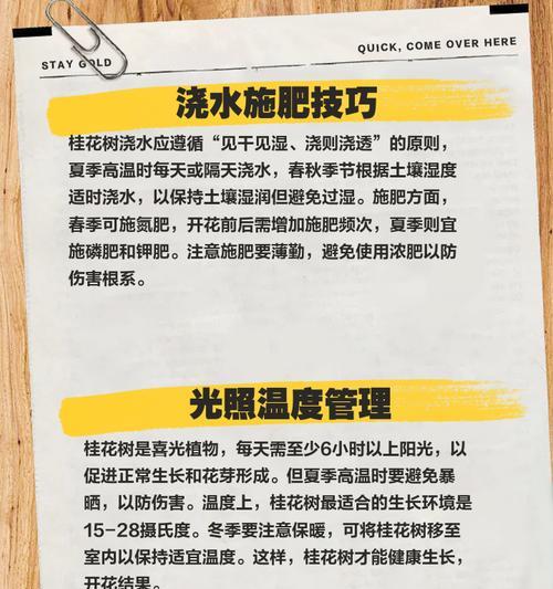 桂花繁殖栽培的关键技术要点是什么？
