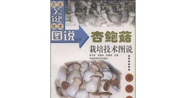 韩国蘑菇栽培技术有哪些要求？如何进行科学种植？
