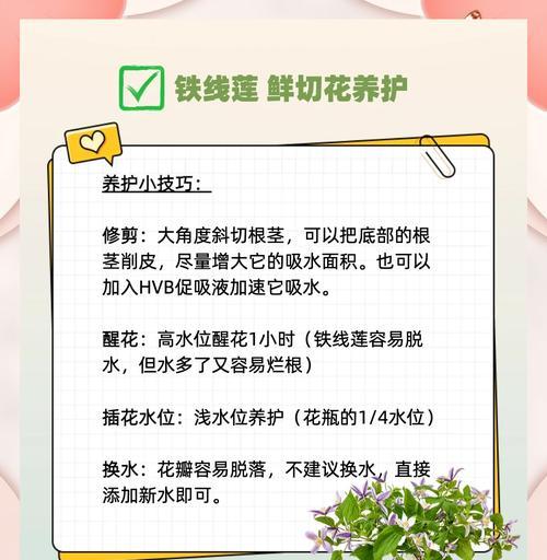 春天铁线莲抽叶不发芽的解决方法是什么？