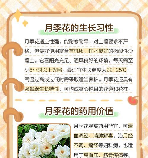 古代月季的别称有哪些？