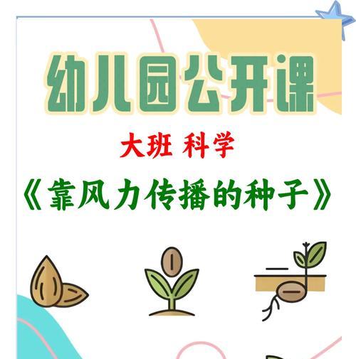 春天哪种方式传播种子最快？如何操作？
