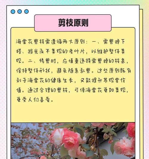 修剪后的盆景花应该如何处理？