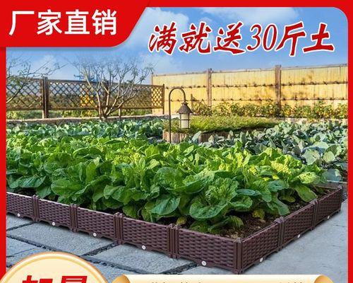 白豆树叶子发黄怎么回事？如何诊断和解决？