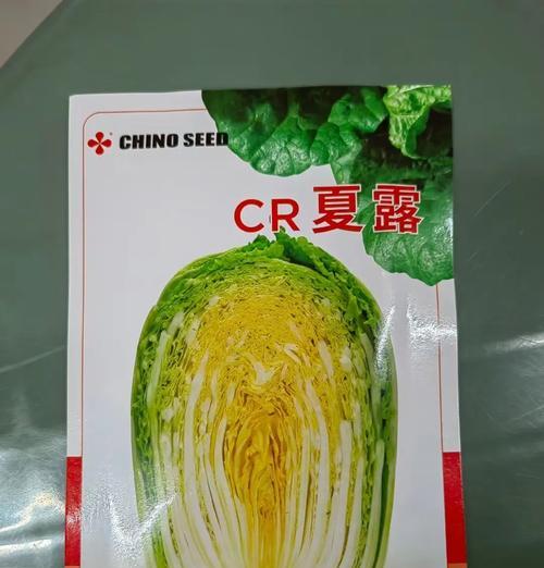 花菜白菜的最佳播种时间是什么时候？