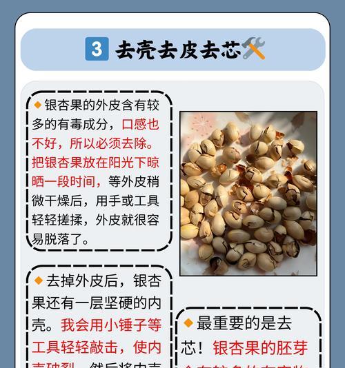 银杏树栽培技术要点包括哪些？